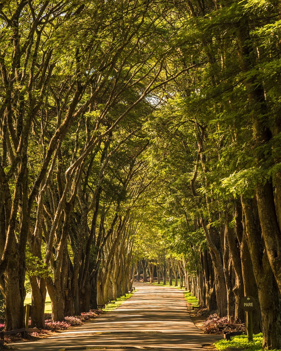 Fazenda Boa Vista