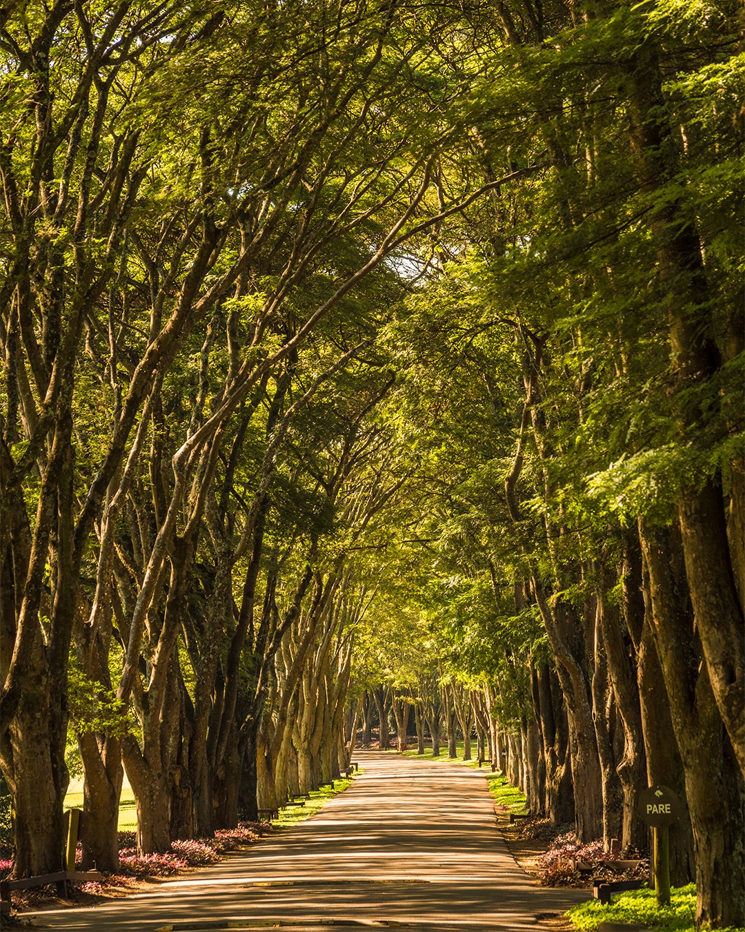 Fazenda Boa Vista