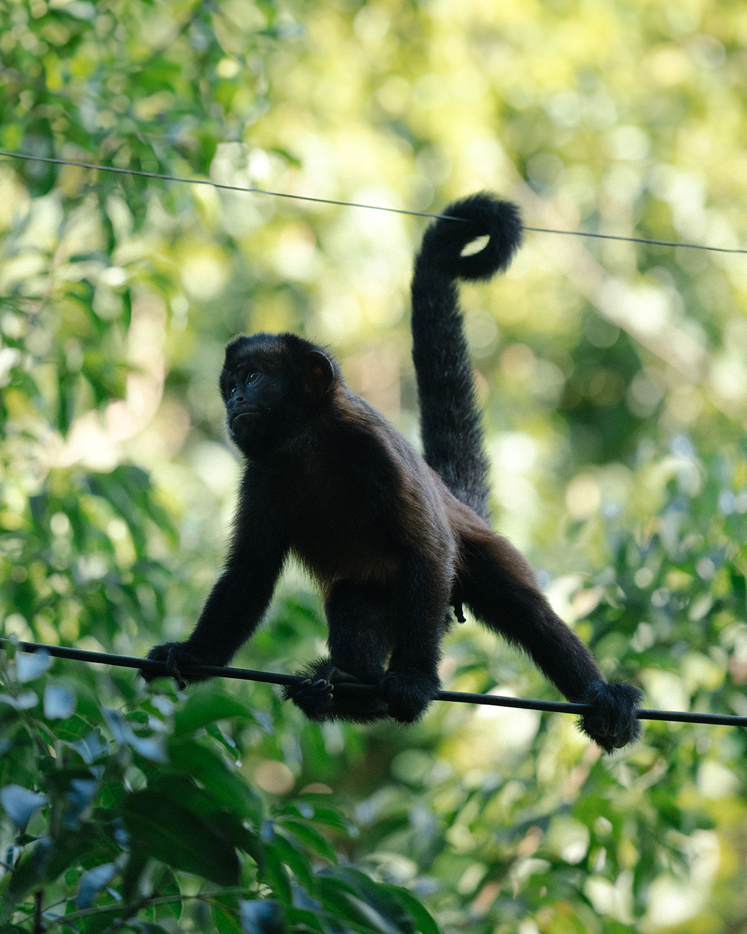 Reserva Trancoso